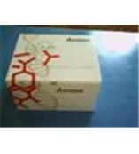 AXYGEN试剂盒\WATSON耗材