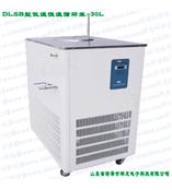 DLSB型-30L40L低温恒温循环泵