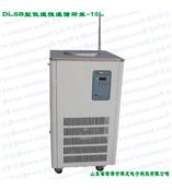 DLSB型-10L20L低温恒温循环泵