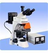 三目熒光顯微鏡XSP-BM22AY_熒光顯微鏡_上海光學儀器六廠