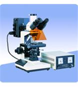 三目熒光顯微鏡XSP-BM13C_熒光顯微鏡_上海光學儀器六廠