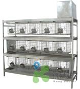 不锈钢冲洗式实验兔笼 大小鼠IVC独立送风隔离笼具 动物实验笼具  笼具021-62767530