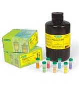 广东Bio-rad蛋白测定产品介绍