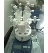 平行反应仪 高温平行反应仪 高温平行反应仪价格 高温平行反应仪厂家 高温平行反应仪采购