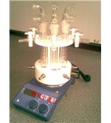 高温平行反仪 高温平行反应仪采购 高温平行反应仪生产厂家 湖北高温平行反应仪 广州高温平行反应仪用途