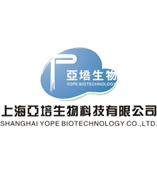 普通DNA产物纯化试剂盒DNA Purification Kit