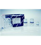 高效离心柱型DNA产物纯化试剂盒