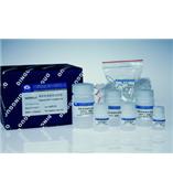 离心柱型动物细胞基因组DNA提取试剂盒