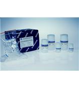 动物组织/细胞/血液基因组DNA提取试剂盒