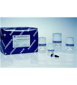 新型植物基因组DNA快速提取试剂盒