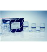 离心柱型细菌基因组DNA提取试剂盒