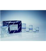 离心柱型禽类全血基因组DNA提取试剂盒