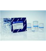 离心柱型全血基因组DNA提取试剂盒