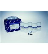 离心柱型植物基因组DNA提取试剂盒