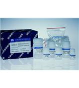 离心柱型质粒DNA快速抽提试剂盒