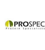 ProSpec細胞因子