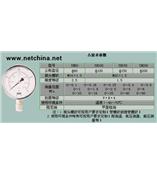 耐震壓力表(2.5MPA)