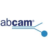 Abcam 全线产品，优势订购！货期快！