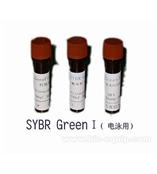 SYbr Green  I