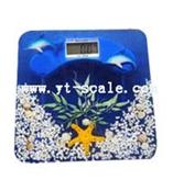 HS-TC体重秤系列