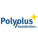 polyplus transfection 体内转染试剂