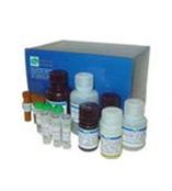 氨苄青霉素钠/氨苄西林钠/ D(-)-6-(α-氨基-苯乙酰胺)青霉烷酸       69-52-3