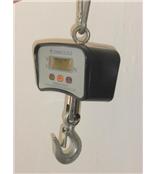 南长电子吊秤【15吨无线型吊称＆30吨带打印式吊磅】OCS-2T钢包秤