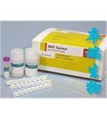 丙二醛测试盒/MDA测试盒   C0014