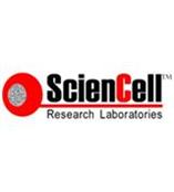 sciencell 公司原代细胞