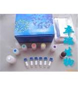 人β细胞素(BTC) 人脑源性神经营养因子(BDNF)Elisa试剂盒   Y10027A