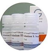 Neomycin Sulfate硫酸新霉素