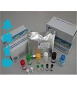 一氧化氮合成酶测试盒[测总NOS（T-NOS）]                C0034