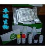 HYP测试盒(测动物血清、组织、尿液)   C0068