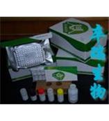 总胆红素、直接胆红素测试盒    C0102