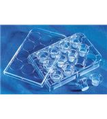 Transwell插入式培养皿 膜嵌套