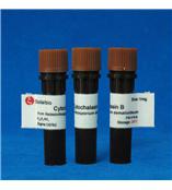 B-27  Serum-Free Supplement(50X)， liquid