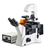FM-600荧光显微镜