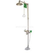 304不锈钢复合式冲淋洗眼器 复合洗眼器 紧急眼部冲洗器 洗眼设备