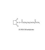 SC-PEG-CMme，琥珀酰亚胺碳酸酯-聚乙二醇-羧甲基（甲酯），SC-PEG-CM (methyl ester)