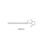 mPEG-SVA,甲氧基-聚乙二醇-琥珀酰亚胺戊酸酯，mPEG-Succinimidyl Valerate