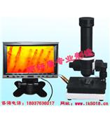 微循环检测仪使用