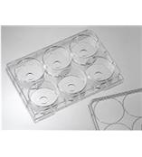 6 孔玻底板（激光共聚焦专用培养板）