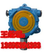 汽油·汽油泄漏报警器·汽油泄漏检测仪