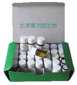 20片药敏纸片|抗生素药敏纸片|细菌药敏纸片|药敏试纸|抗生素纸片