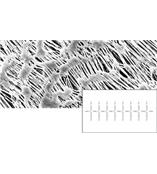 聚四氟乙烯滤膜(PTFE) 11803--13------N  德国赛多利斯Sartorius  北京代理 价格优惠大量批发
