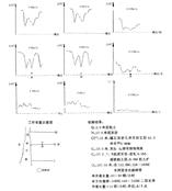 全自动天然电场选频物探测量仪 价格
