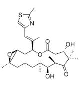 现货,Epothilone B,  Microtubule Formation 抑制剂