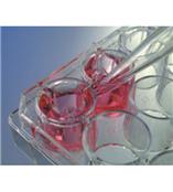 Greiner Bio-One ThinCert?插入式细胞培养器