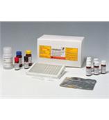 維生素B5（泛酸）檢測試劑盒  R-Biopharm（拜發）