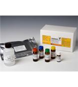 維生素B7（生物素）檢測試劑盒  R-Biopharm（拜發）